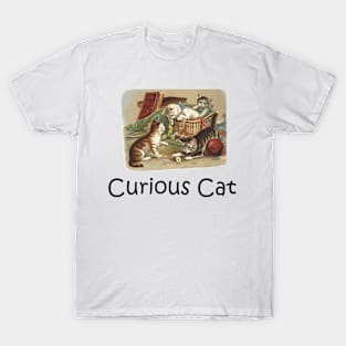 Curious Cat T-Shirt